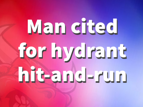 Man cited for hydrant hit-and-run