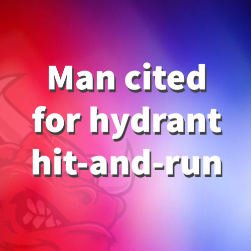 Man cited for hydrant hit-and-run