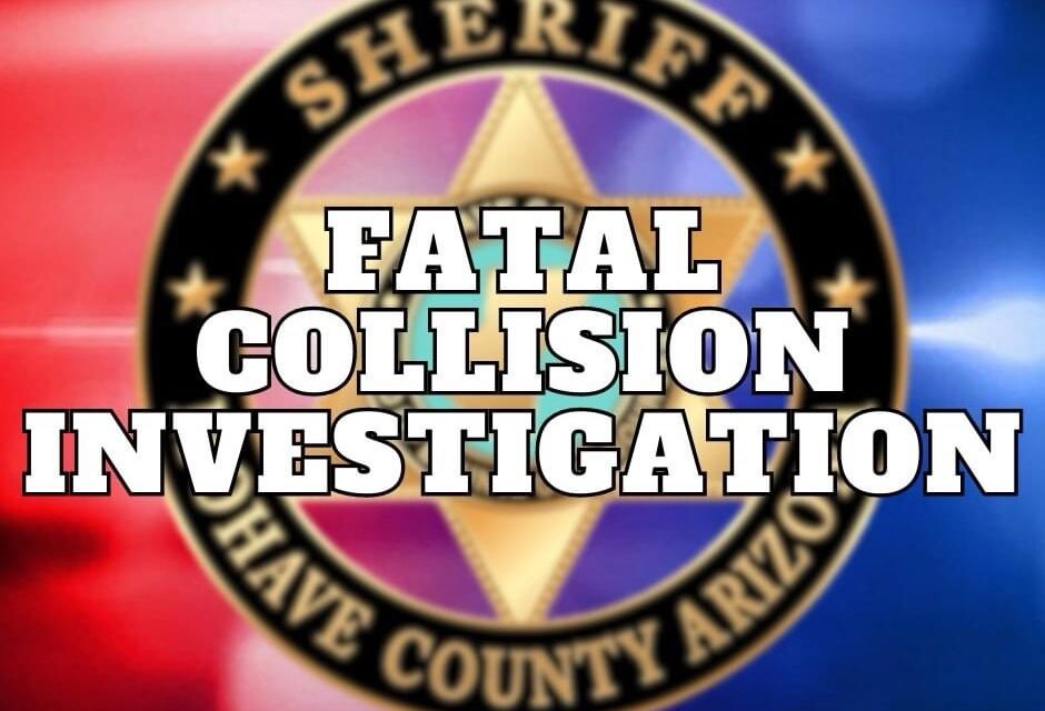 Fatal hit-and-run vehicle vs pedestrian collision.