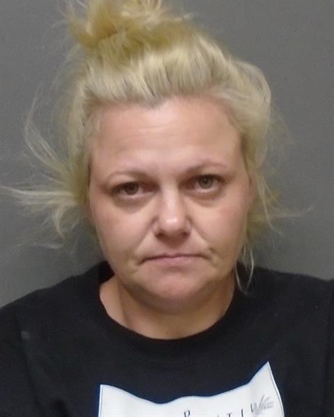 Woman arrested – child abuse report